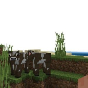 Bicubic Shaders for Minecraft PE